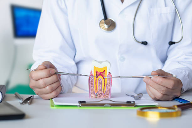 Best Emergency Treatment for Toothache in Wagoner, OK